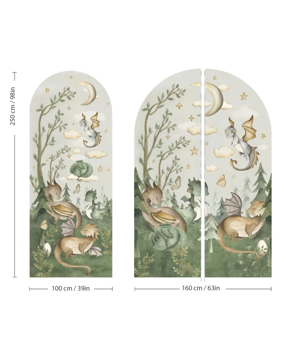 Wymiary naklejki łuk DRAGON 100 × 250 i 160 × 250 cm