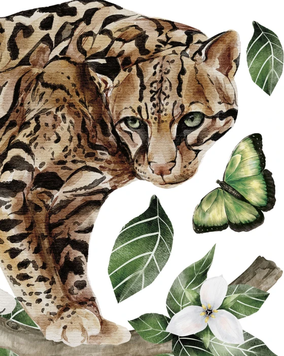Naklejki ścienne AMAZONIA z ocelotem, arą, tukanem, motylami i tropikalnymi roślinami
