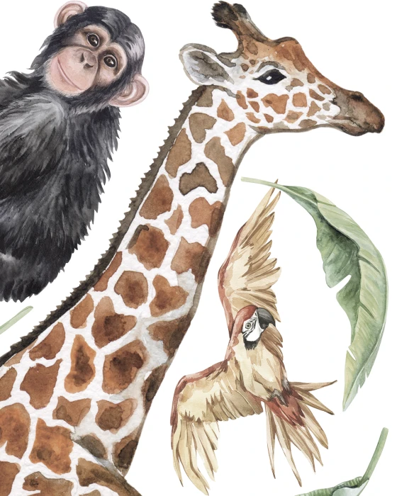 Naklejki SAFARI – żyrafa 120 × 135 cm, małpa 40 × 46 cm, papuga i liście