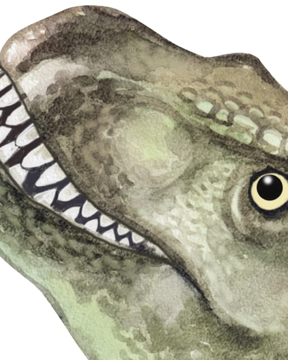 Akwarelowe naklejki z T-Rexem, brązowym i niebieskim pterozaurem do pokoju dziecięcego