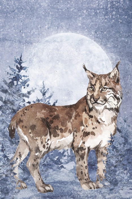 Plakat samoprzylepny LUNA ryś