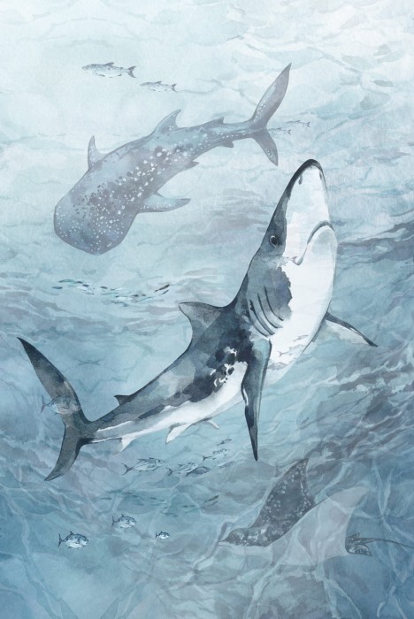 Plakat samoprzylepny SEAWAY