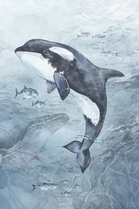 Plakat samoprzylepny SEAWAY