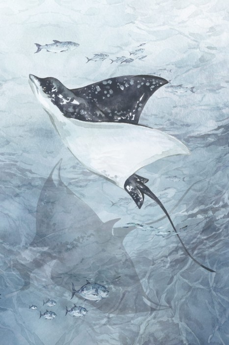 Plakat samoprzylepny SEAWAY