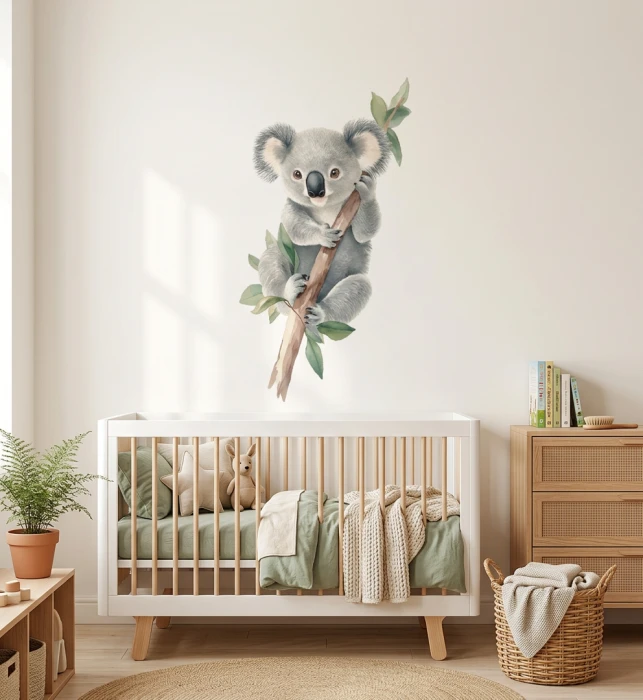 Miś koala