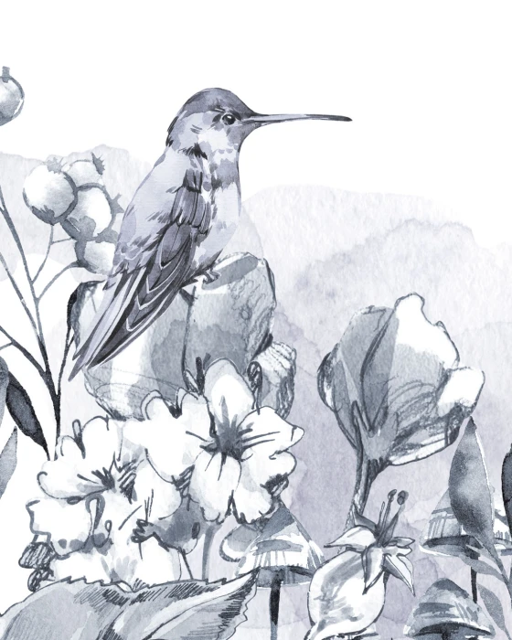 Akwarelowa tapeta botaniczna z kolibrami