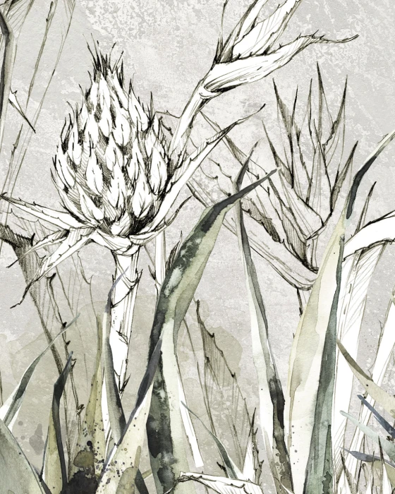 Tapeta botaniczna z trawami i polnymi roślinami